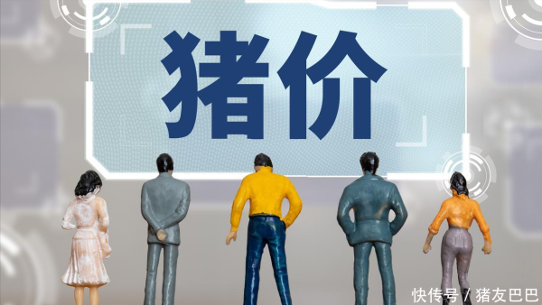 正规股票配资门户 涨不停，猪价上涨“势如破竹”？1个新变化！附：6月18日猪价